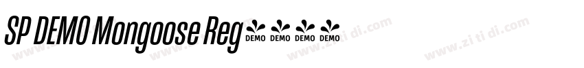 SP DEMO Mongoose Reg字体转换